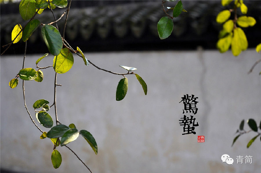 节气的解释,节气的习俗有哪些