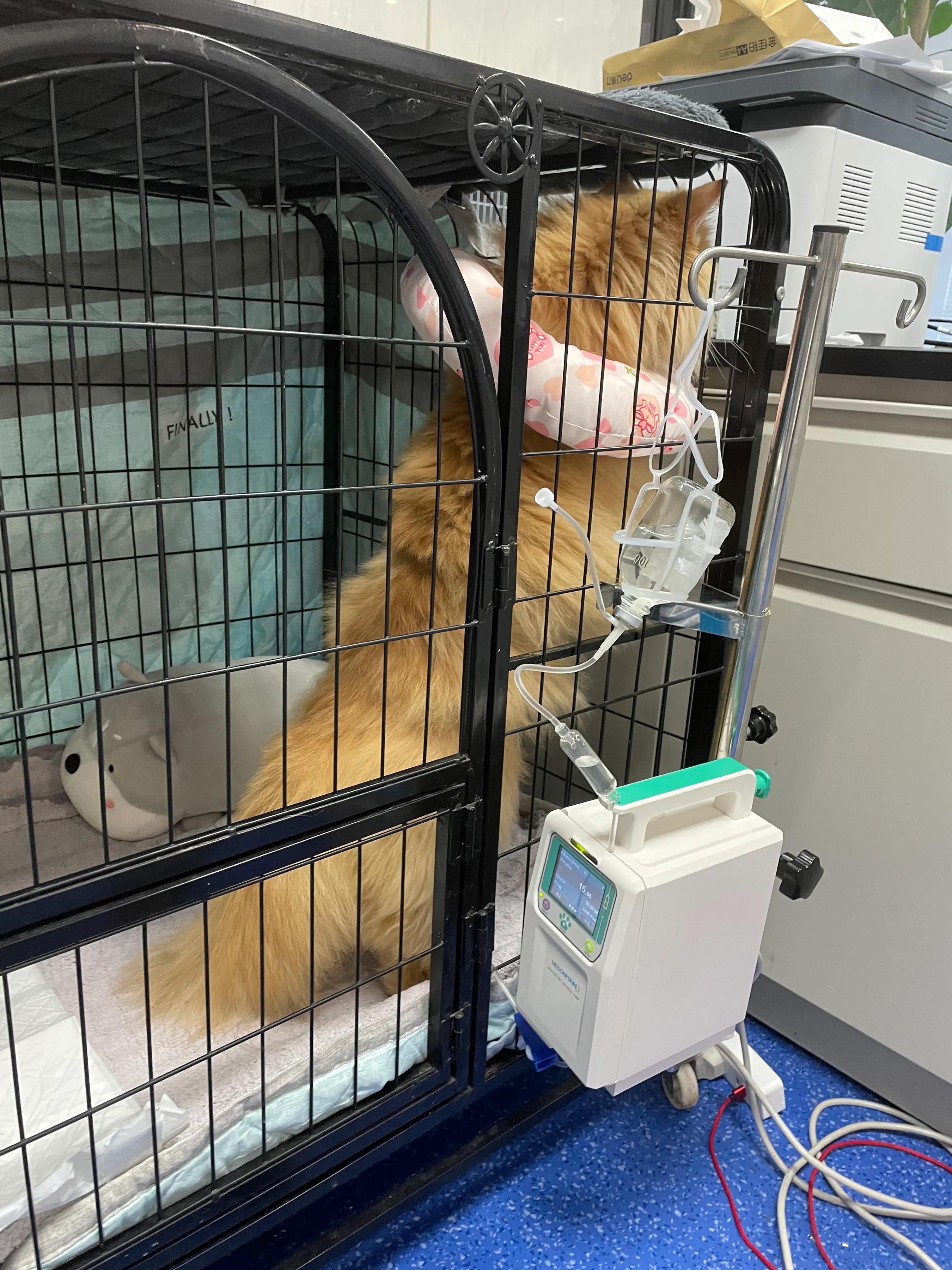 明天我的小屁屁要去深圳了