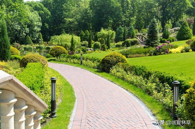 林草业务知识,林草局专业知识