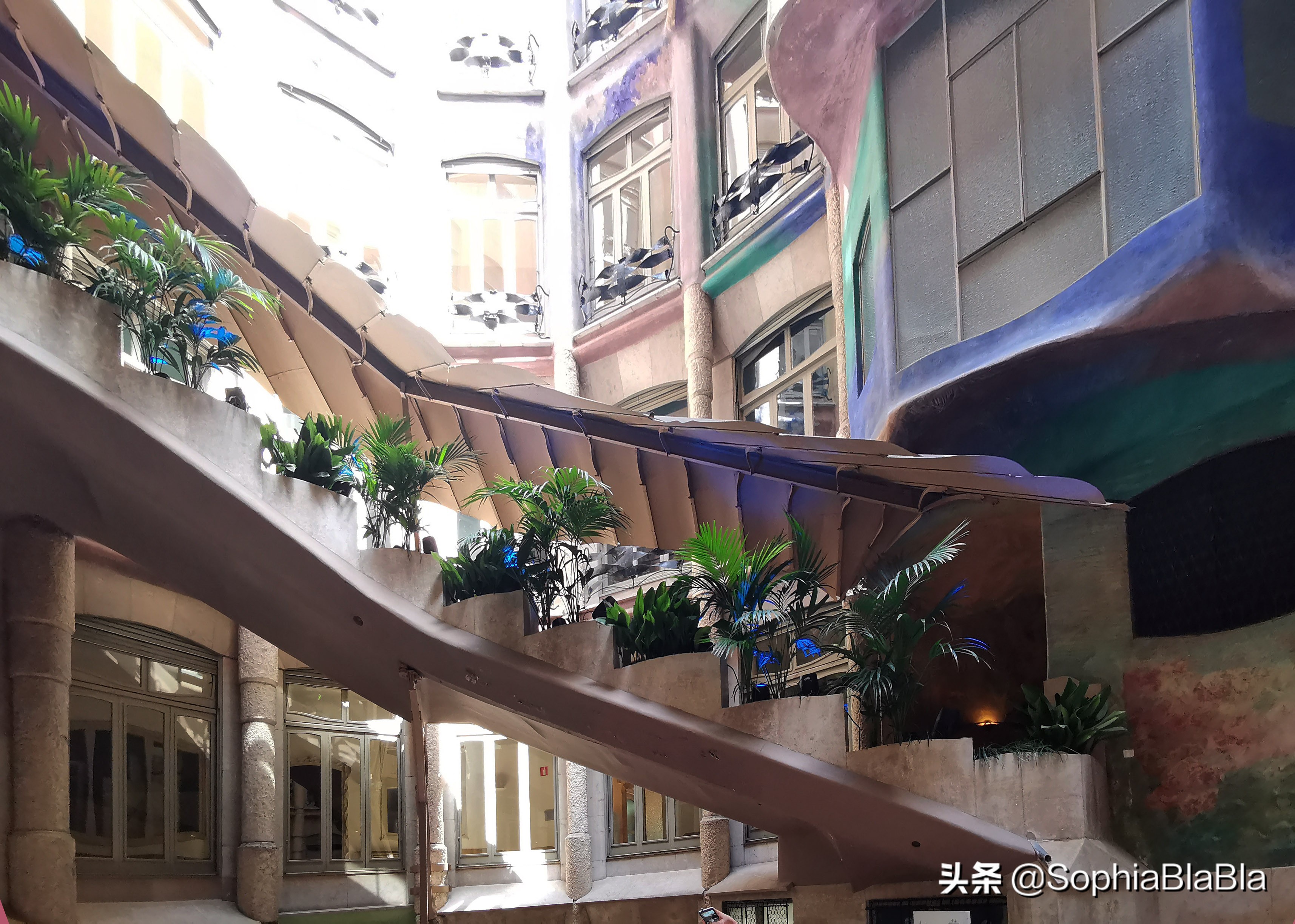 让石头动起来魔术,让石头动起来