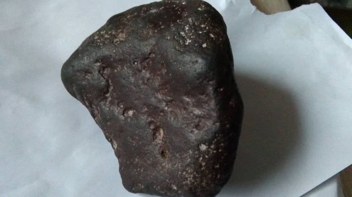 科学家从陨石中发现未知生物dna,陨石坠落地球生物进化