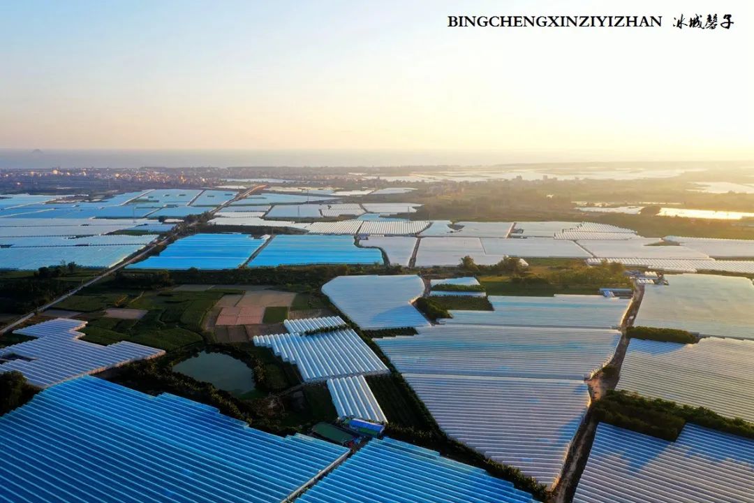 乐东九所海边康养基地,海南乐东九所景和家园