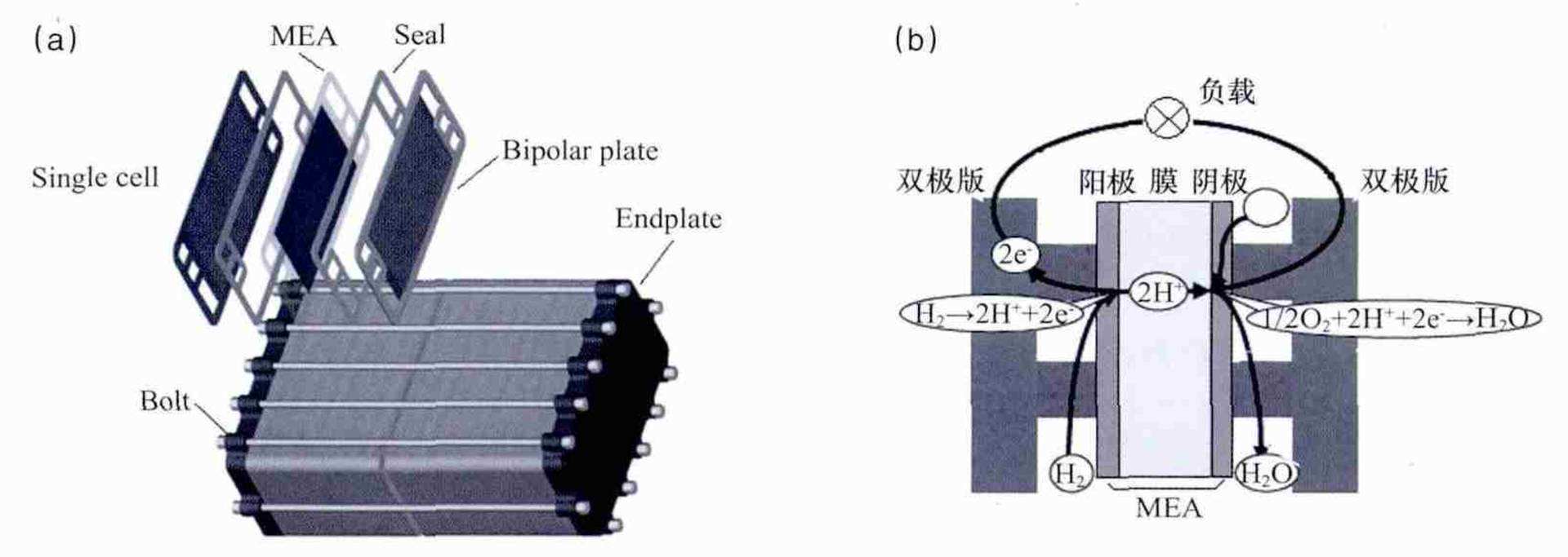 燃料电池是什么汽车,有哪些新能源汽车搭载燃料电池