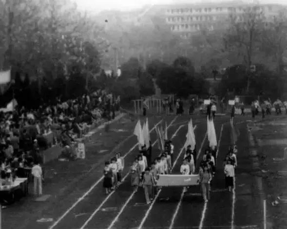 李萍的人生大实话,平平淡淡李萍