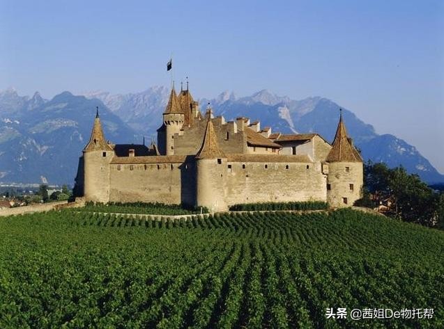 目前年份最好的拉菲,拉菲红酒顶级