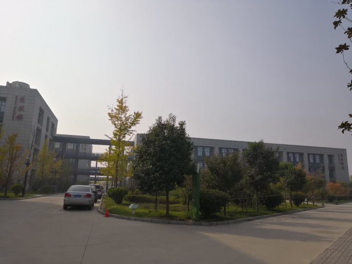 26岁的空洞肺结核能治好吗,25岁得肺结核怎么治