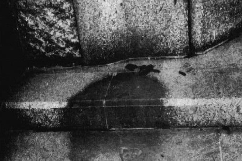 二战时被原子弹炸毁的广岛图片,二战广岛原子弹真实影像