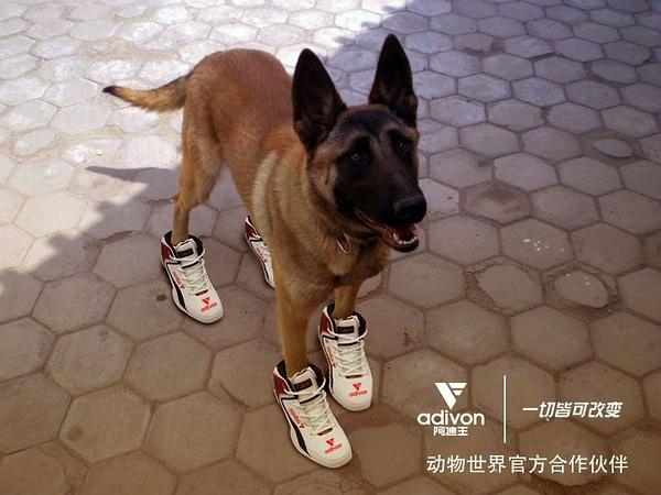 现在还有人穿阿迪达斯啊,现在还有人买阿迪王吗