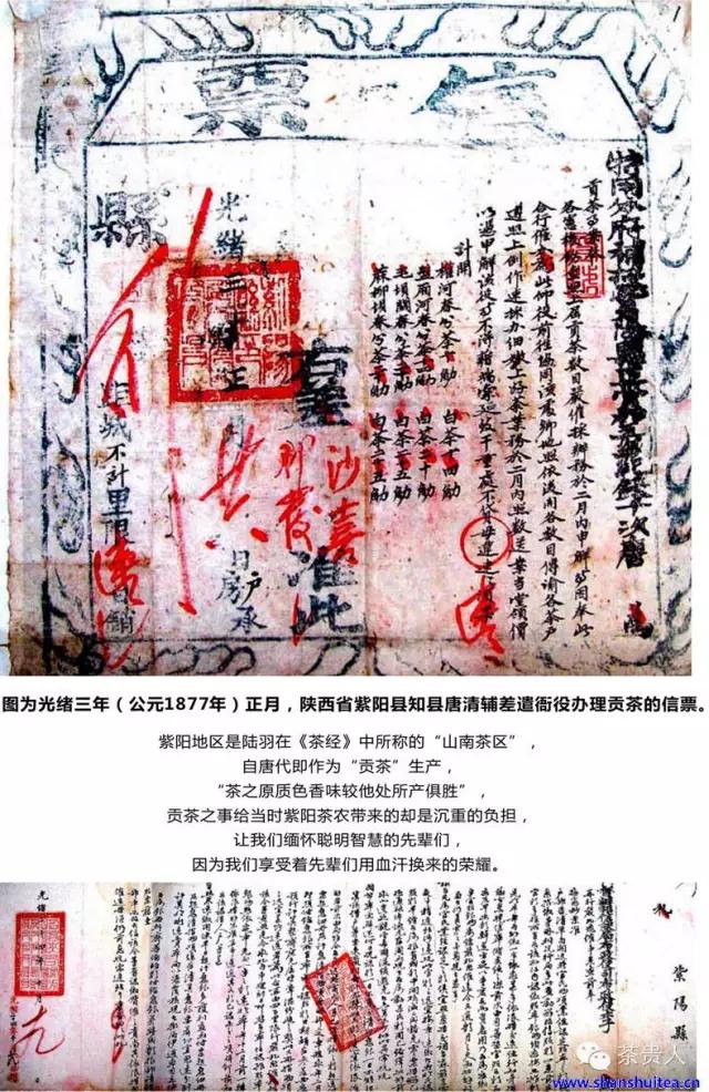 茶眼看陕西,茶眼看中国茶