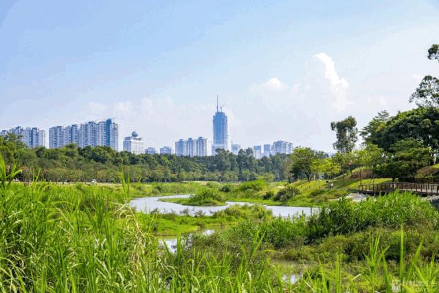 盼了1年！南山新地标“塞纳河”惊艳露面