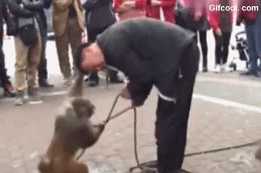 我对2021年股票市场的七大预测