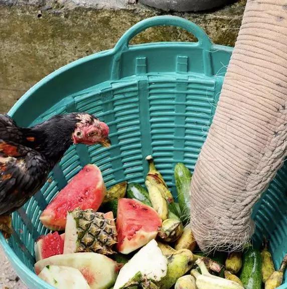 春节普吉岛自由行全攻略,春节去普吉岛旅游合适吗