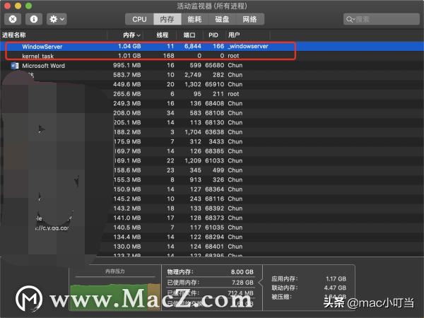 windowsserver是什么进程,windowsserver是干嘛用的