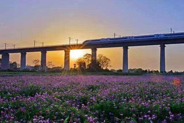 类似于橘子洲的江心洲有哪些,南京江心洲长沙橘子洲