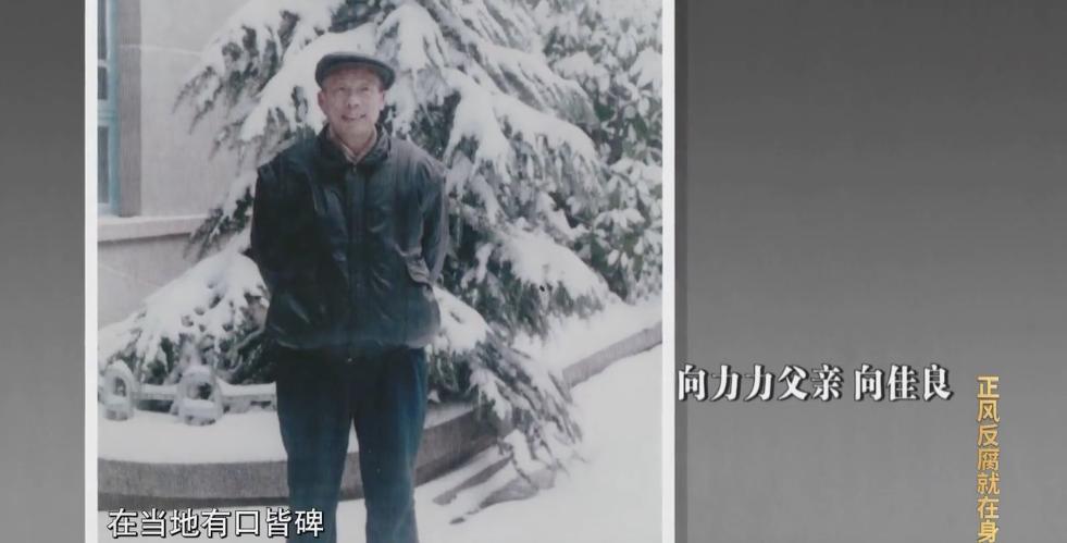 “老虎”弟弟也被叫“市长”！兄弟俩花巨资建的山庄，老父亲直到去世都没去过