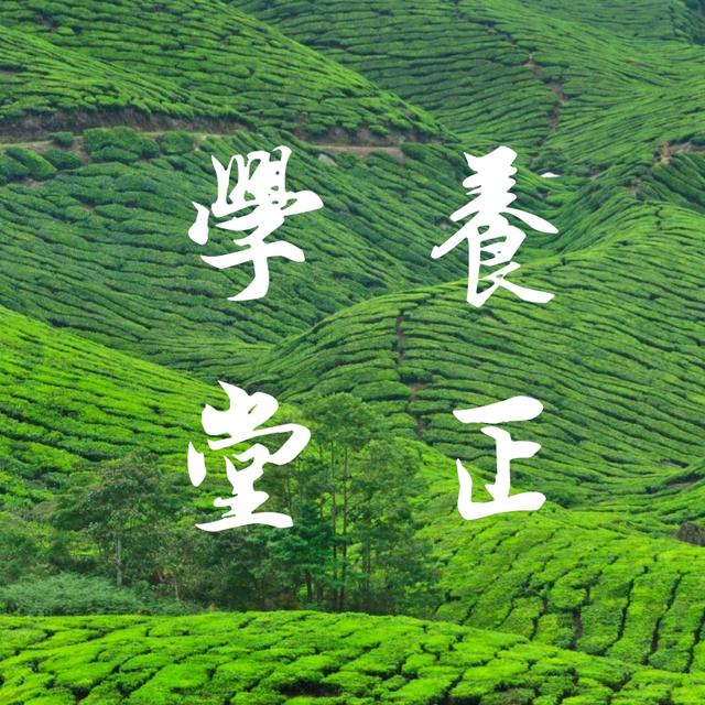 素人艺术品生产者，世界观是不是一下子漫威DC起来？