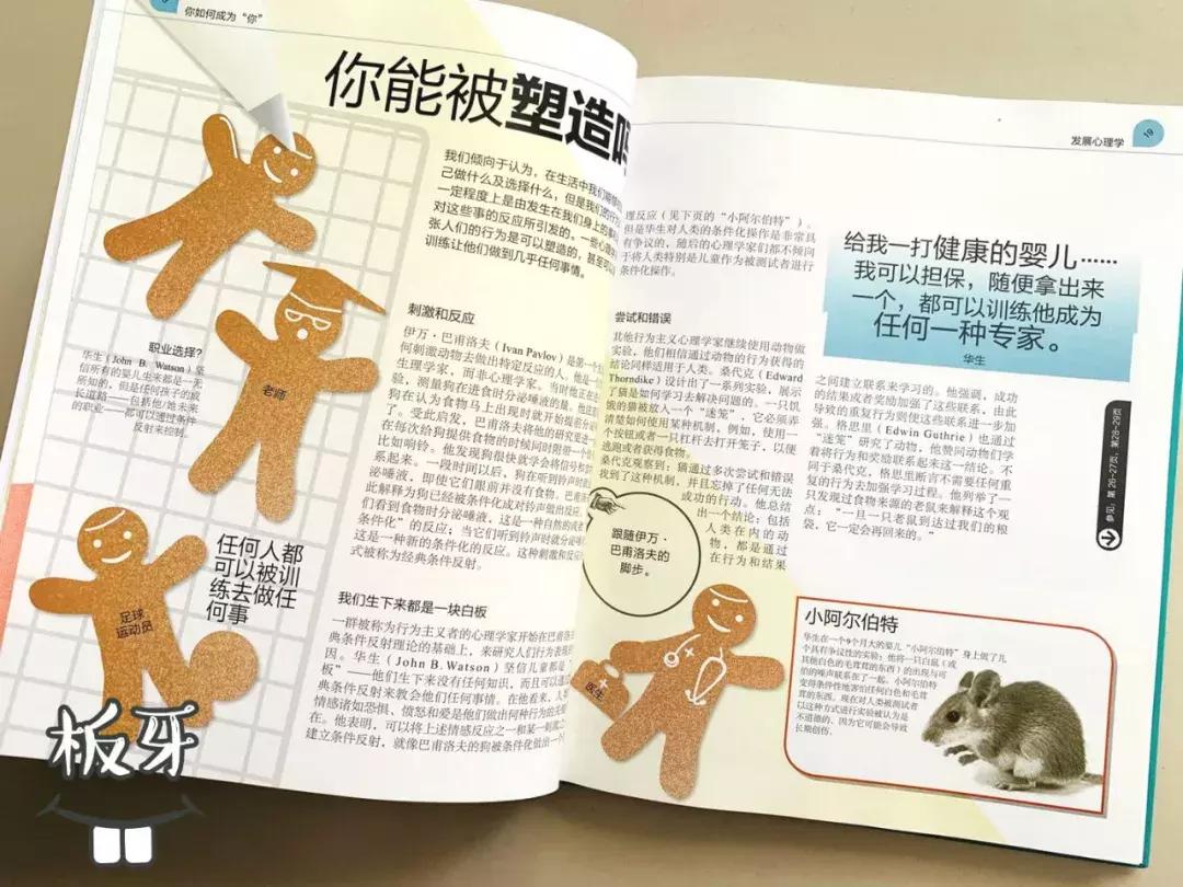 儿童dk哪些书籍值得买,dk儿童书籍推荐