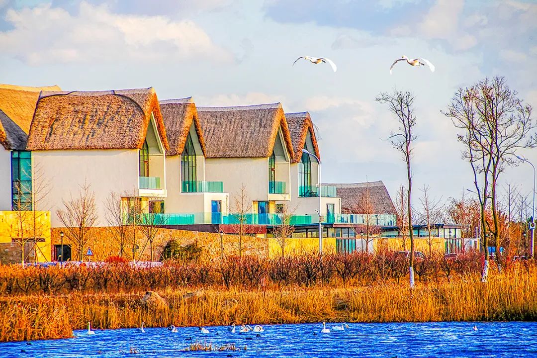 比三亚便宜的海边小城,比三亚便宜的海滨慢城