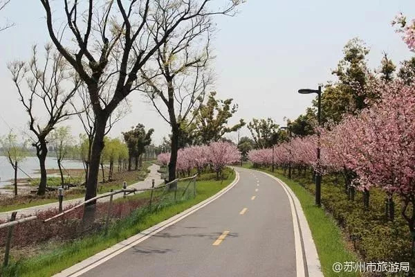 苏州真是一个回忆满满的地方,回忆满满的古镇