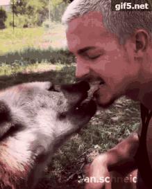 放弃百万年薪，去非洲撸猫？长腿版小李子引63w人舔屏：看我看我