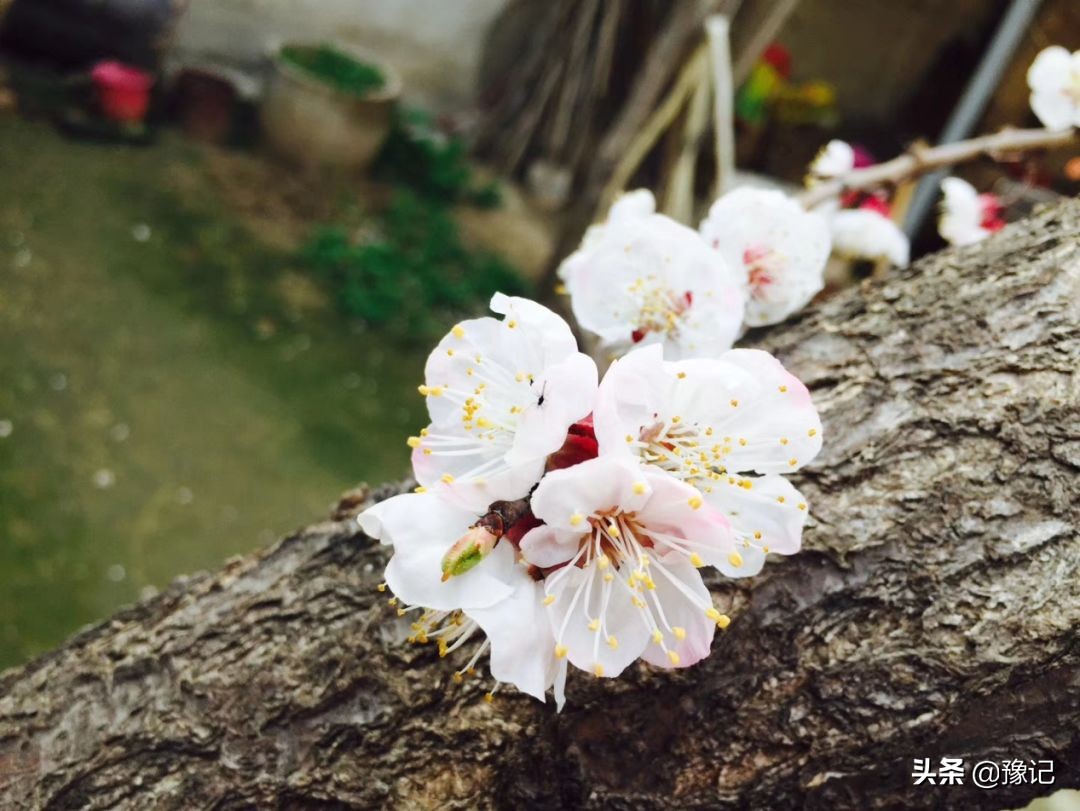 把故事讲给别人听,把故事讲给后来的人听