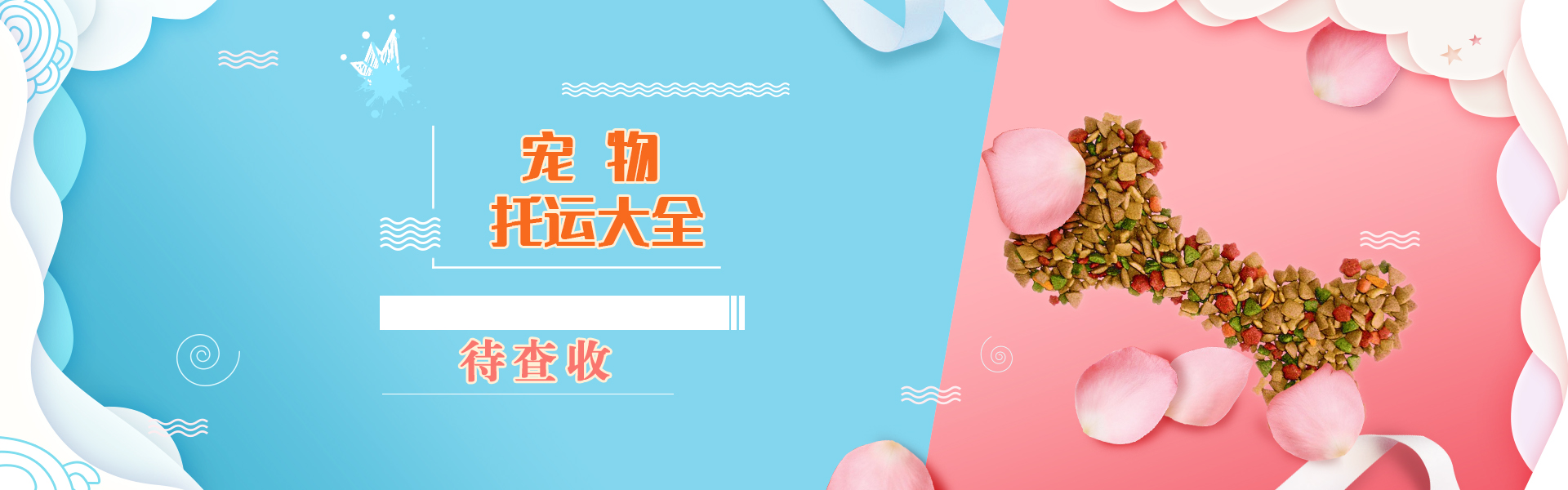 哪家航空公司可以托运宠物猫,哪个航空公司托运猫便宜