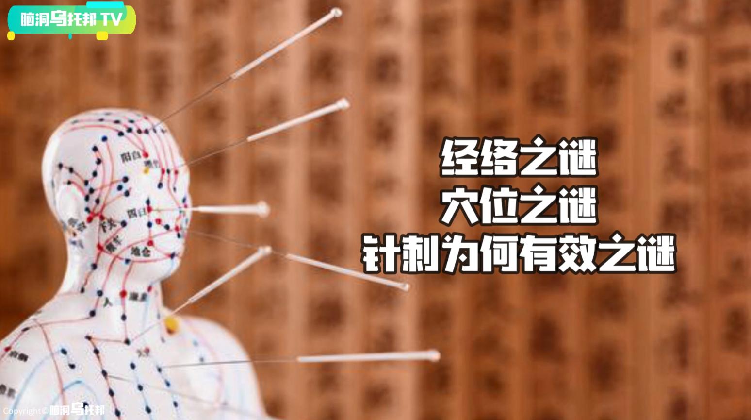 主宰人生死的隐藏器官,主宰生死的神秘器官