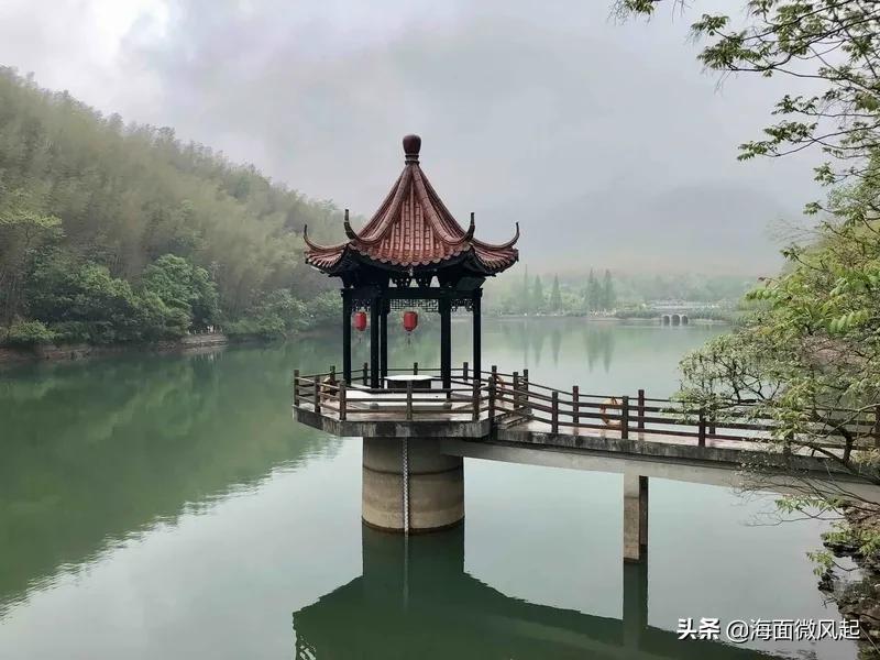 百里竹海森林氧吧,湖北宜兴竹海天然氧吧