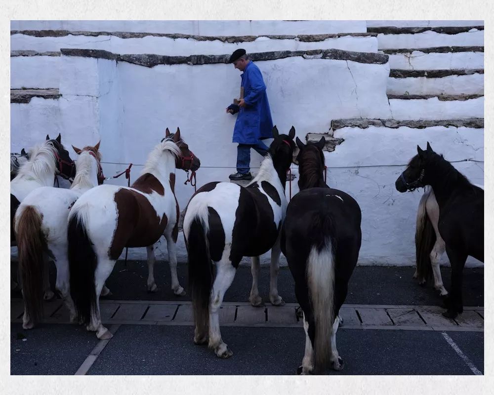 2亿像素和4800万像素的画质哪个好,像素高就一定好吗