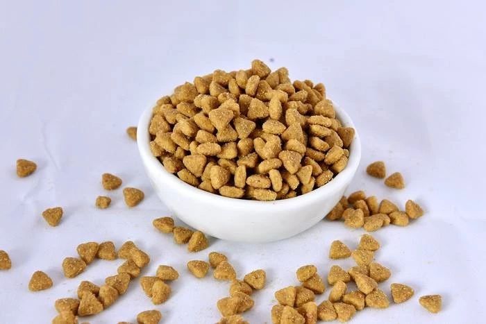 猫咪吃猫饭便便不臭,你家猫拉屎有多臭