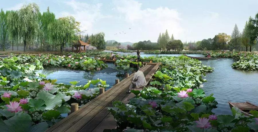 杭州西湖区免费足球场,西湖边的足球场