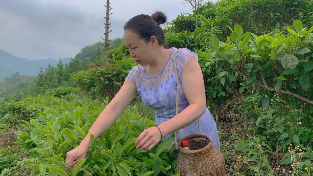 这帮人五一用爱心启航，一起为广西凌云大山的孩子点燃艺术之梦！