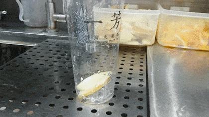 吃在济南,荔枝百香果芒果芭乐