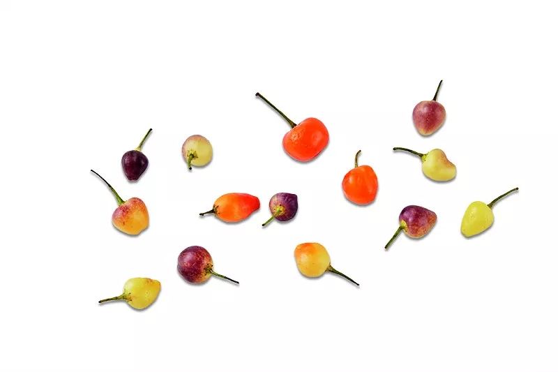 中国辣椒排行,中国又辣又香的辣椒排名