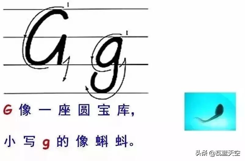 26个英文字母正确书写规范教程,26个英文字母正确发音快速记忆法