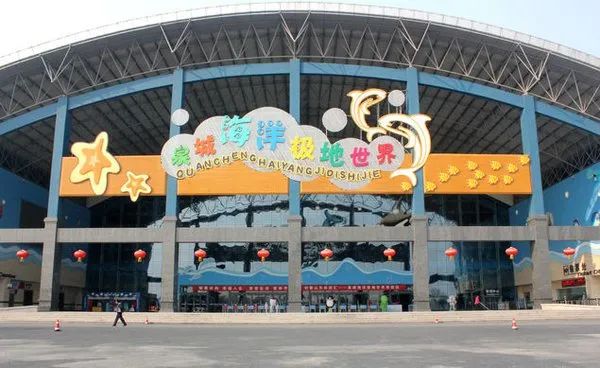 济南动物王国一日游详细攻略,济南一日游动物园