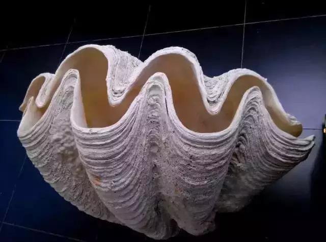 和珅配珠价值多少,和珅稀世大玉