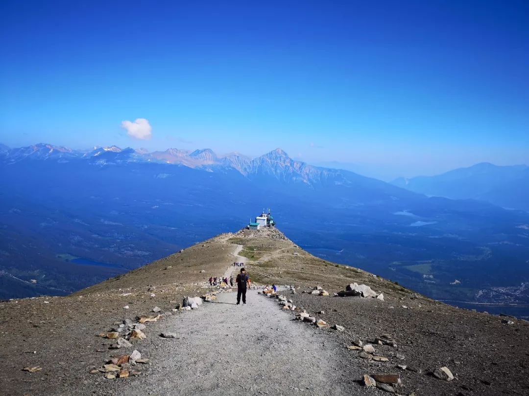 加拿大东部排名第一的学府——达尔豪斯大学