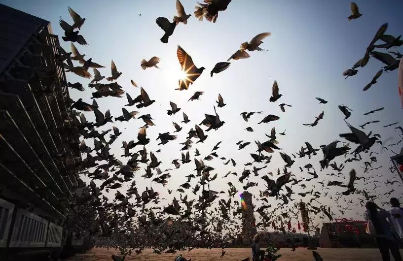 【三分钟法治新闻全知道】刑警押送嫌疑人“回家”，路上一起看大阅兵