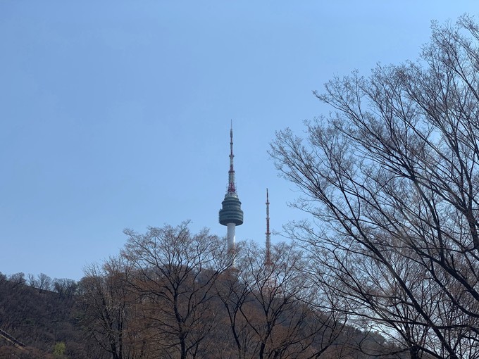 樱花韩国歌曲,樱花味的日语