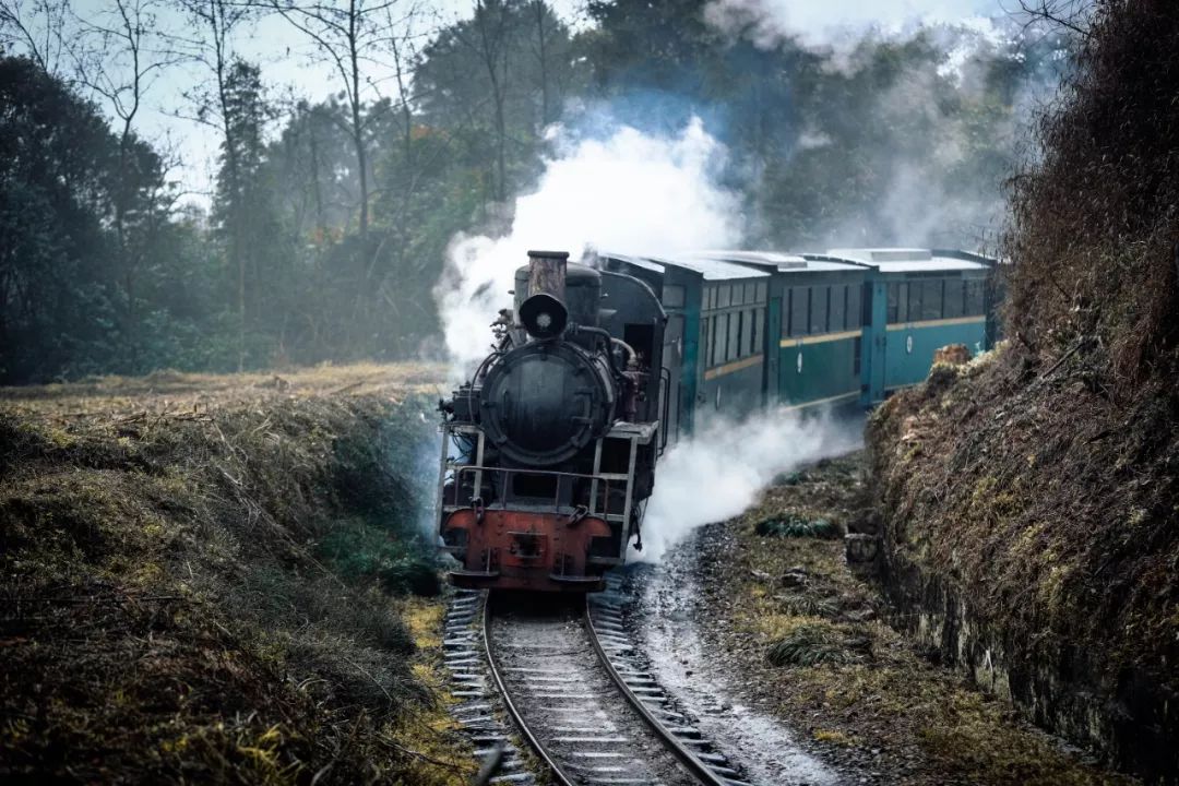 全世界唯一在运行的蒸汽小火车,经典窄轨蒸汽机车