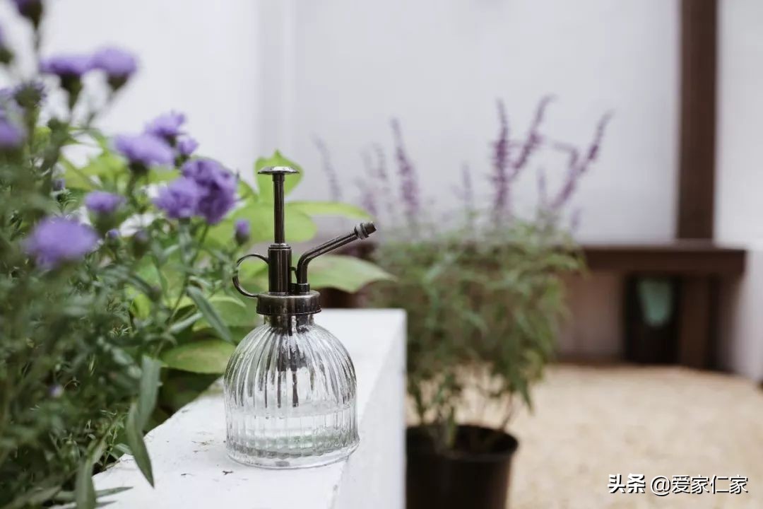 她买下32㎡上海老旧学区房，为女儿打造小桃园，还有超舒适大庭院