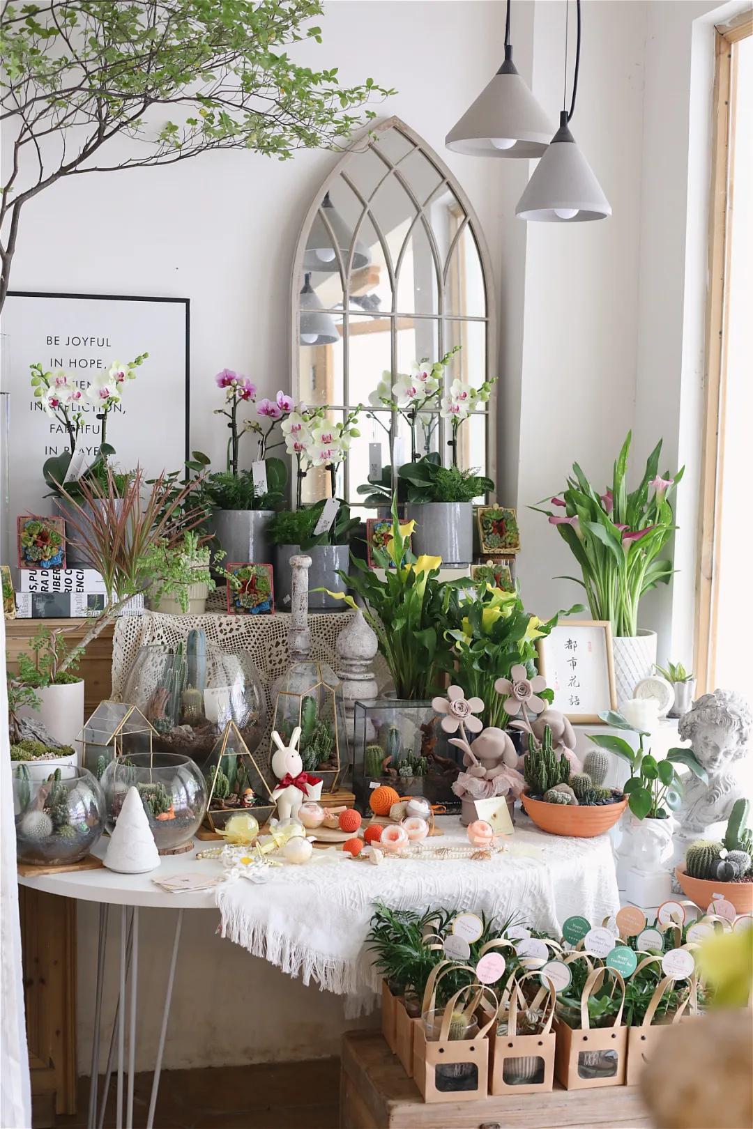 都市花语门票多少钱,都市花语免费阅读