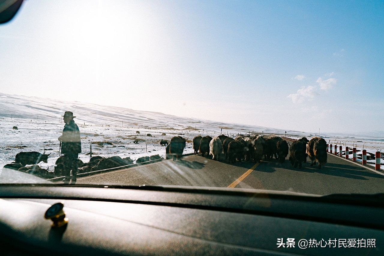 两个小伙去西藏,两个小伙在野外游玩