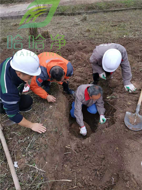 重庆白蚁防治专业消杀,重庆白蚁防治服务