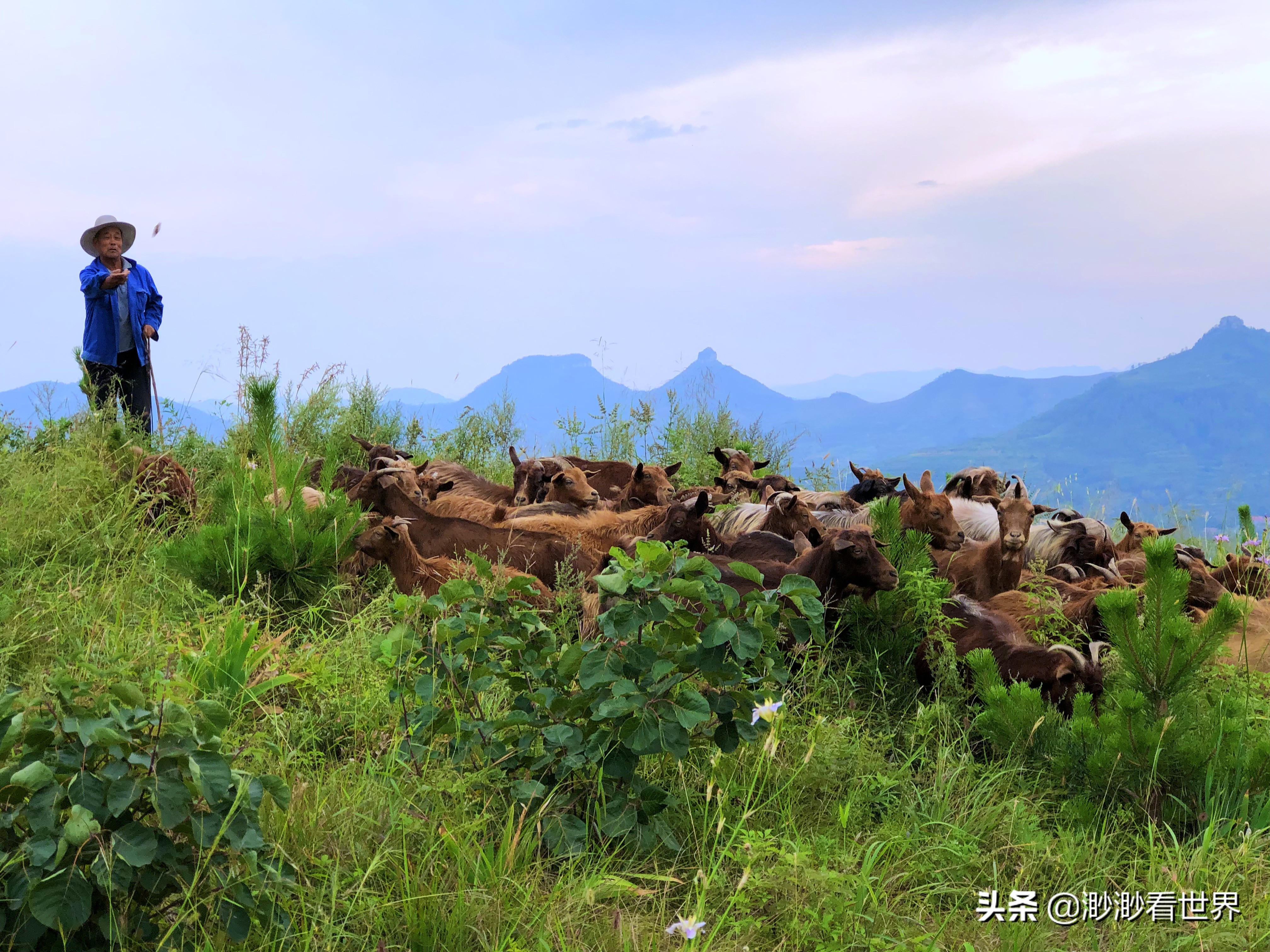 探索蒙阴岱崮地貌旅游奇景,沂南县岱崮地貌