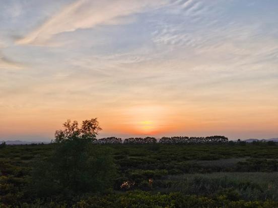 生蚝之乡广东阳江,钦州市碧桂园红树湾88平观景效果