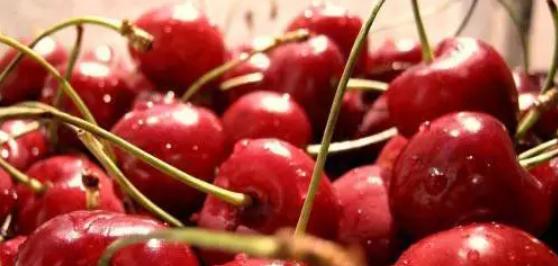 西安樱桃采摘最佳时间,西安樱桃哪里可以摘