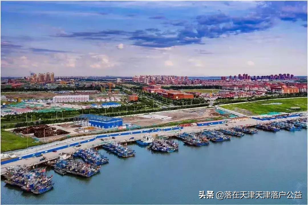 开海了怎么选海鲜,开海了囤点什么海鲜合适