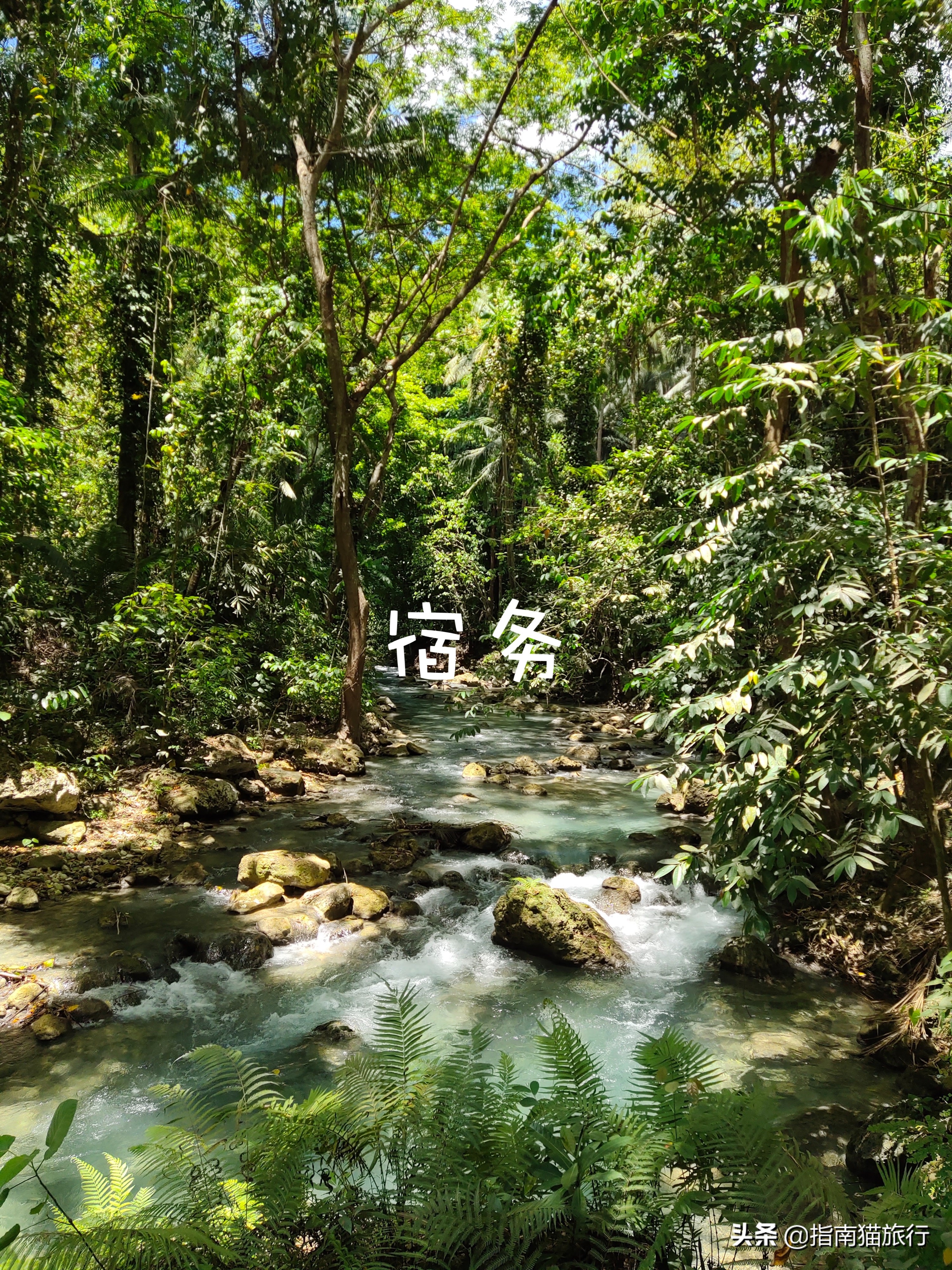 双十一捡漏不迷路,双十一旅游机票